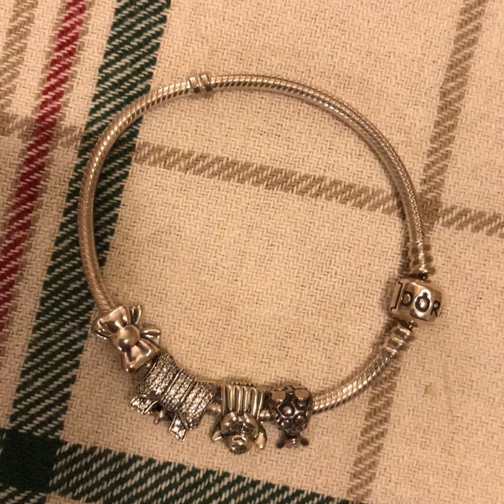 Pandora bracelet with charms